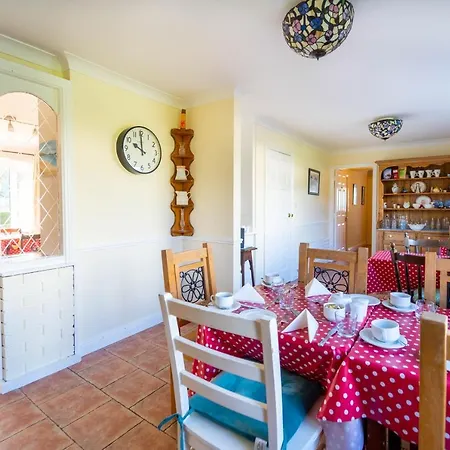 Ashe's 4* דינגל